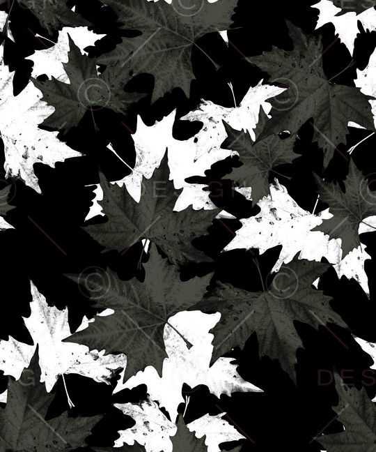 黑白印花华亿平台图片