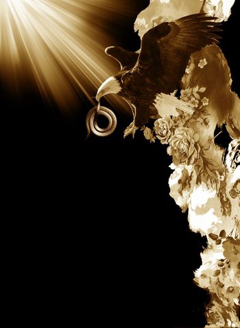 556409-抽象自然山石纹理老鹰男装图案