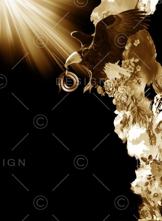 抽象男装图案印花华亿平台图片