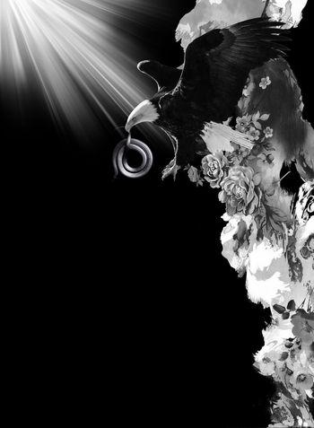 556410-抽象自然山石纹理老鹰男装图案