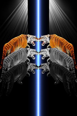 抽象男装图案印花华亿平台图片