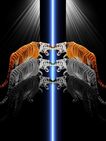 556432-抽象极光纹理老虎男装图案