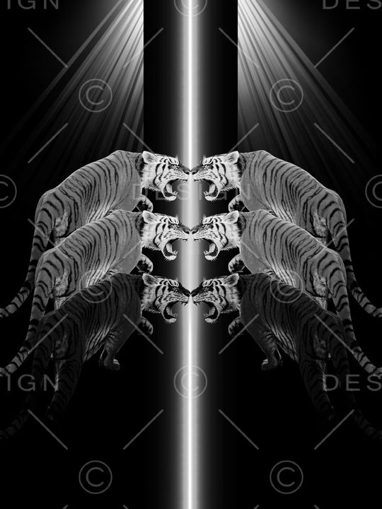 抽象男装图案印花华亿平台图片