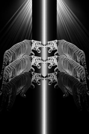 抽象男装图案印花华亿平台图片