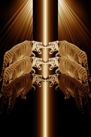 抽象男装图案印花华亿平台图片