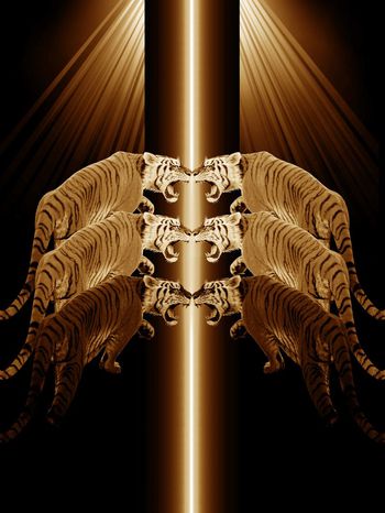 556434-抽象极光纹理老虎男装图案