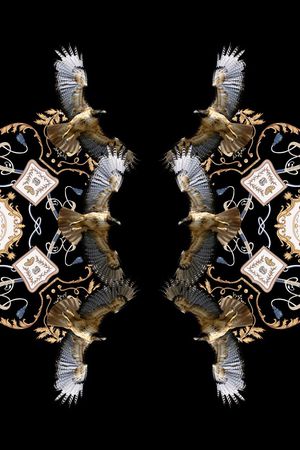 抽象男装图案印花华亿平台图片