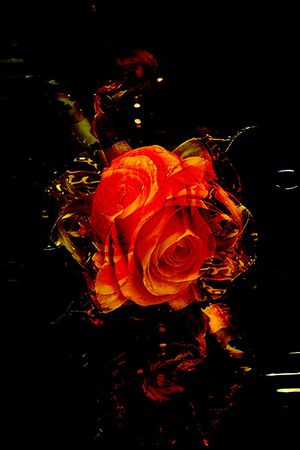 定位印花华亿平台图片