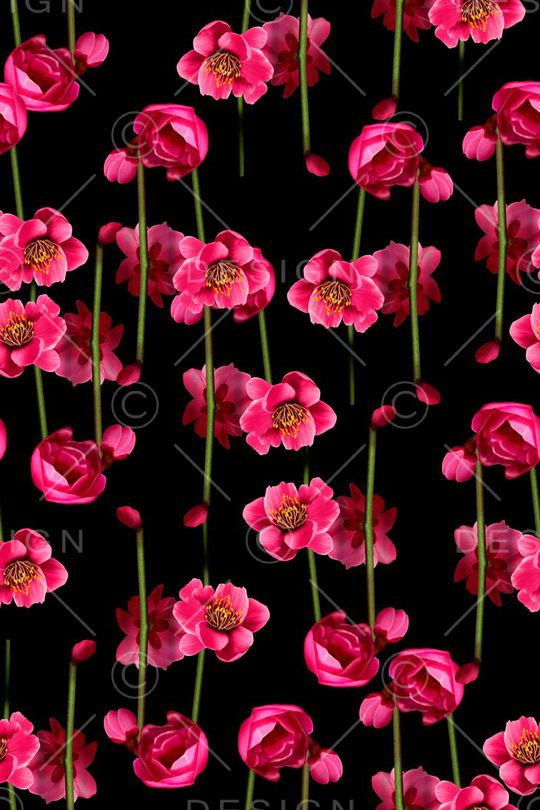 纯色底印花华亿平台图片