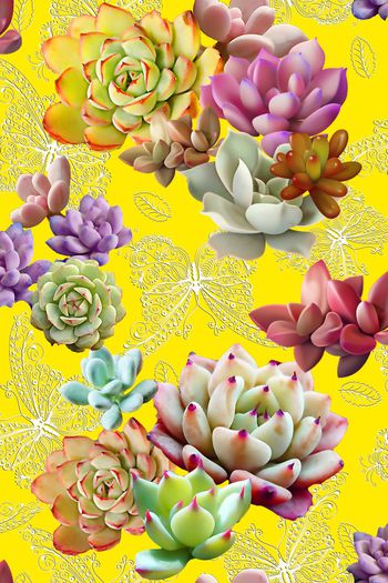 556618-欧洲时尚潮流植物花卉立体线条印花Y