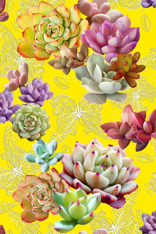 潮流时尚大牌印花华亿平台图片