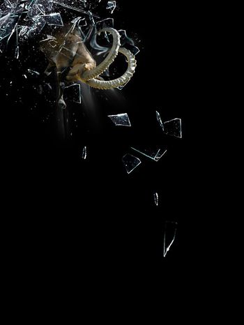 556834-愤怒的山羊男装定位图案