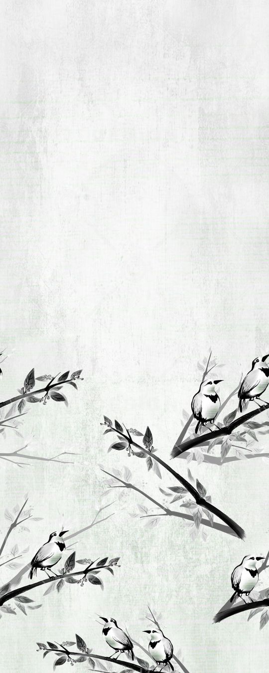 女士服装面料印花华亿平台图片