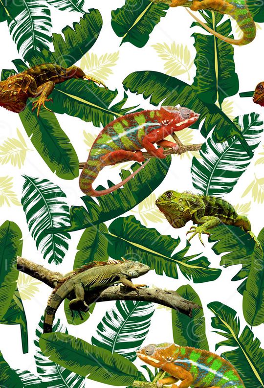流行时尚热带绿叶变色龙蜥蜴花印花华亿平台图片