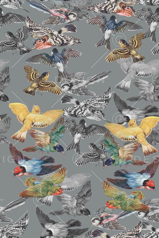 动物印花华亿平台图片