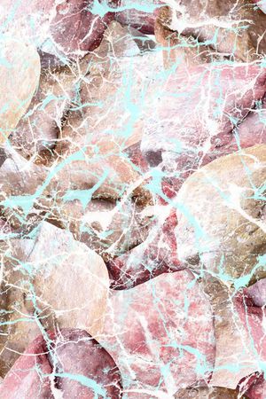 自然物体组合印花华亿平台图片