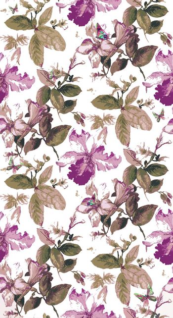 557104-水彩蝴蝶花卉