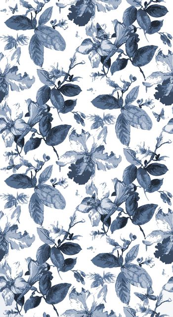 557105-水彩蝴蝶花卉