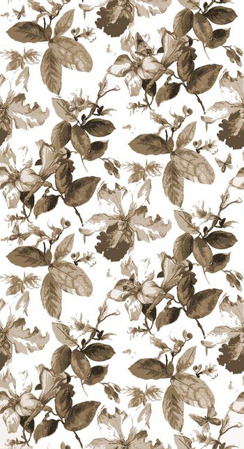 557106-水彩蝴蝶花卉