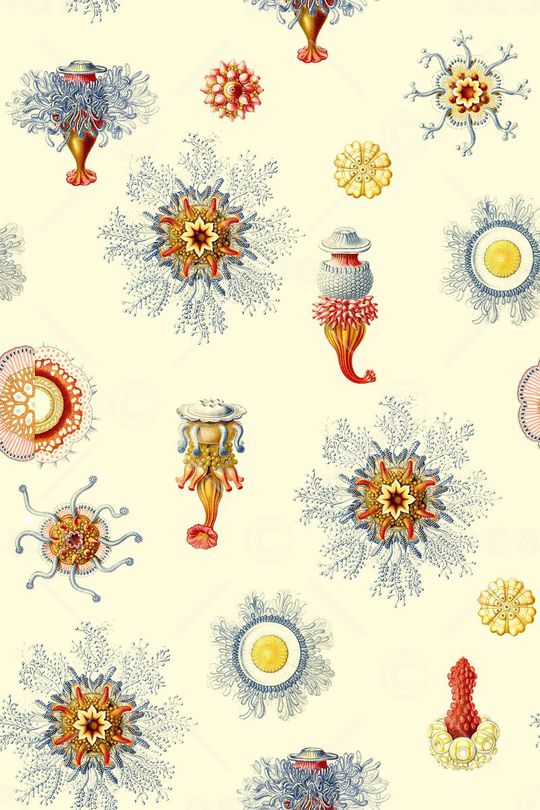 复古印花华亿平台图片