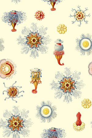 复古印花华亿平台图片