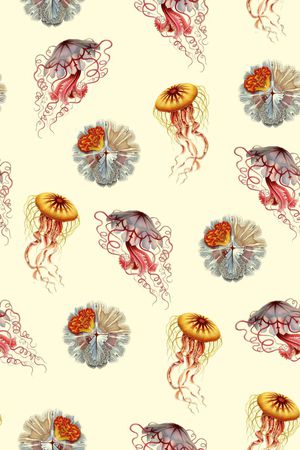 插画印花华亿平台图片