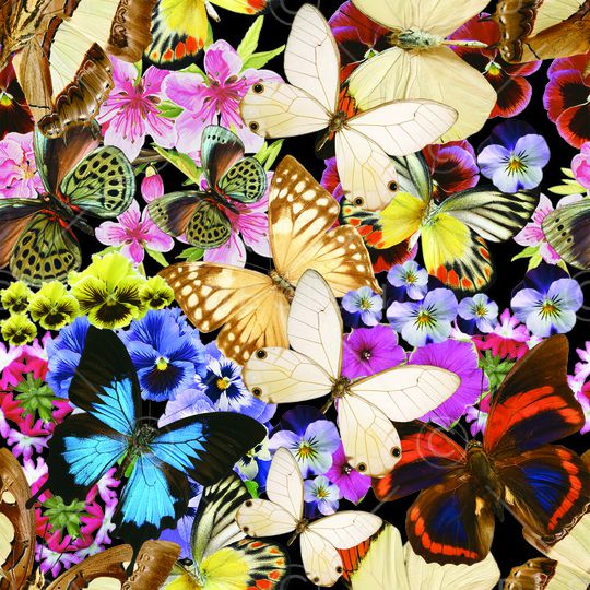 小翠花印花华亿平台图片