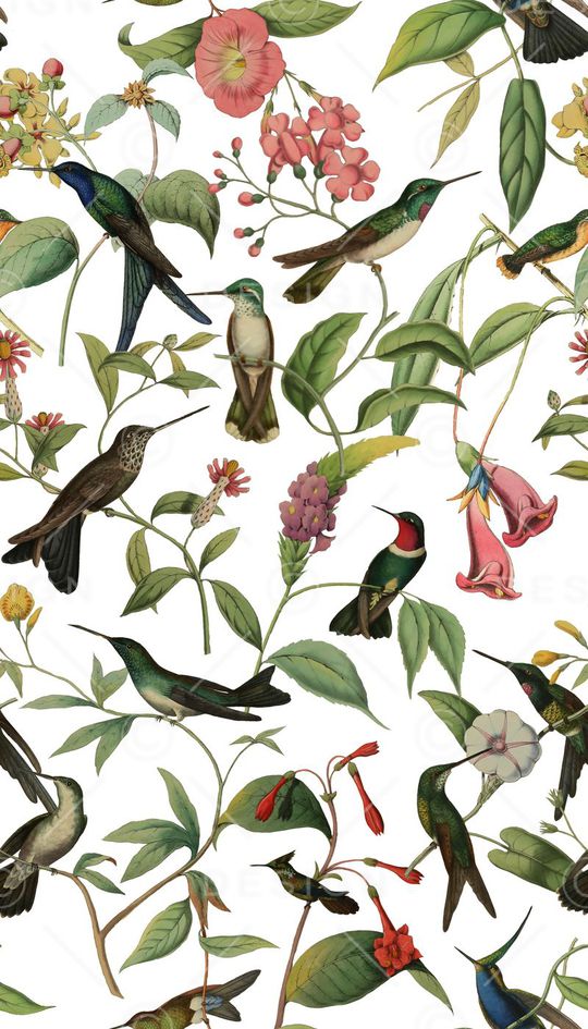 花鸟印花华亿平台图片