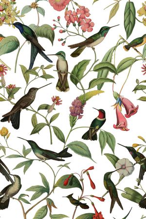 花鸟印花华亿平台图片