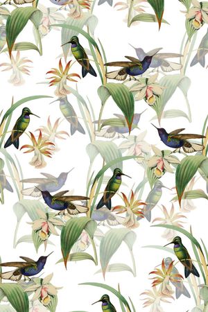 花鸟印花华亿平台图片