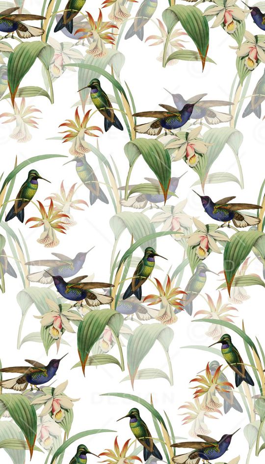 花鸟印花华亿平台图片