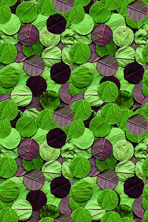 民族印花华亿平台图片