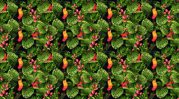 鸟印花华亿平台图片