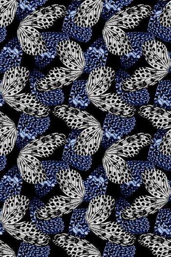 557503-抽象蝴蝶翅膀斑点纹理男装图案