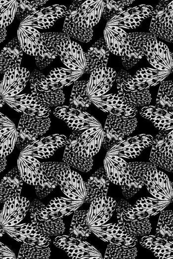 557504-抽象蝴蝶翅膀斑点纹理男装图案