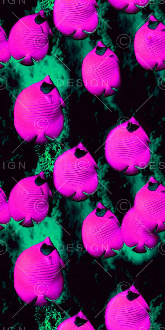 海洋生物印花华亿平台图片