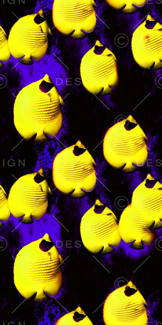 海洋生物印花华亿平台图片