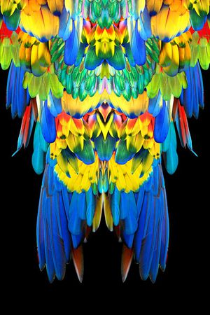 时尚印花华亿平台图片