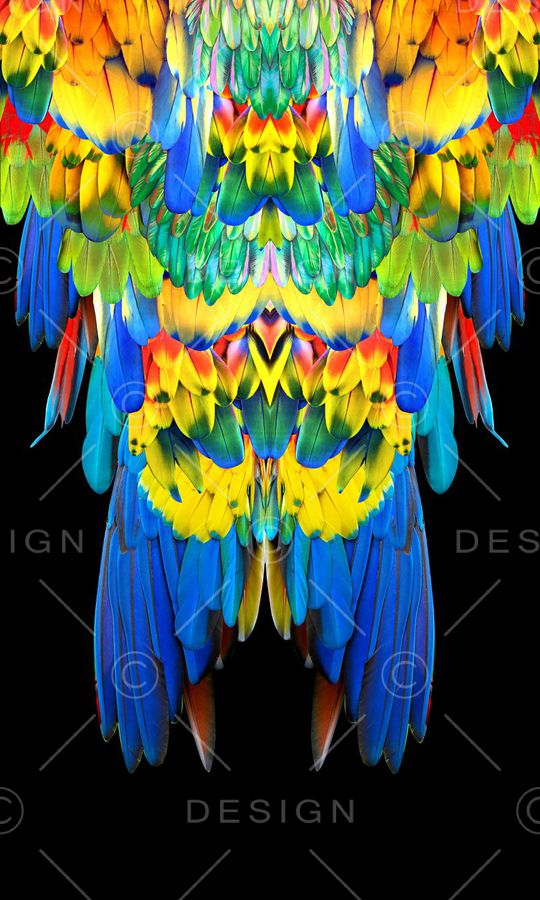 时尚印花华亿平台图片