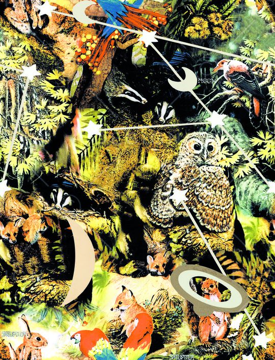 猫头鹰印花华亿平台图片