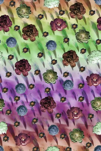 557733-时尚羽毛花卉