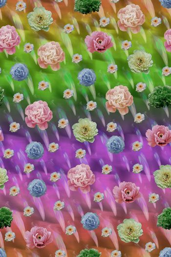 557734-时尚羽毛花卉