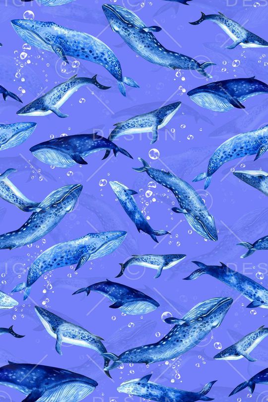 卡通印花华亿平台图片