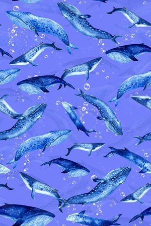 卡通印花华亿平台图片