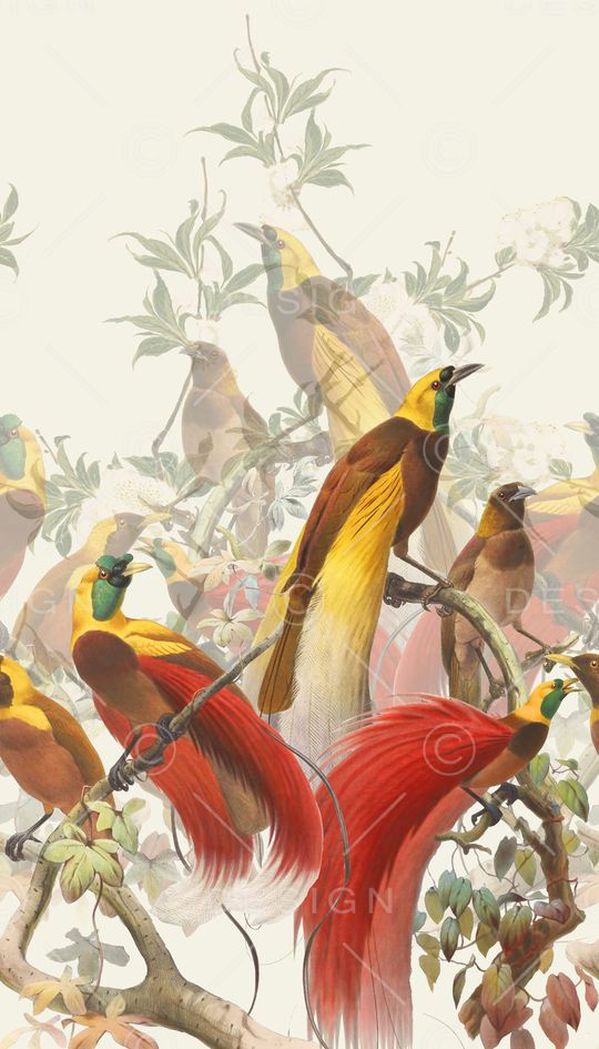 定位印花华亿平台图片