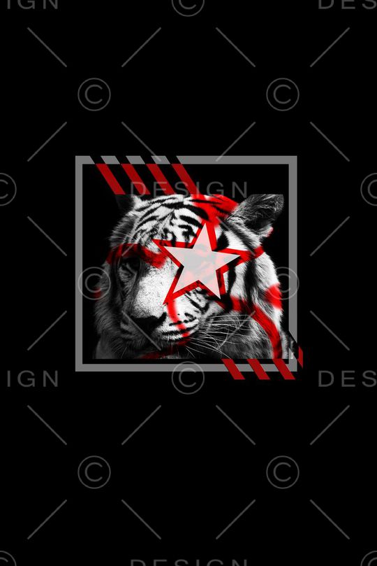 男装印花华亿平台图片