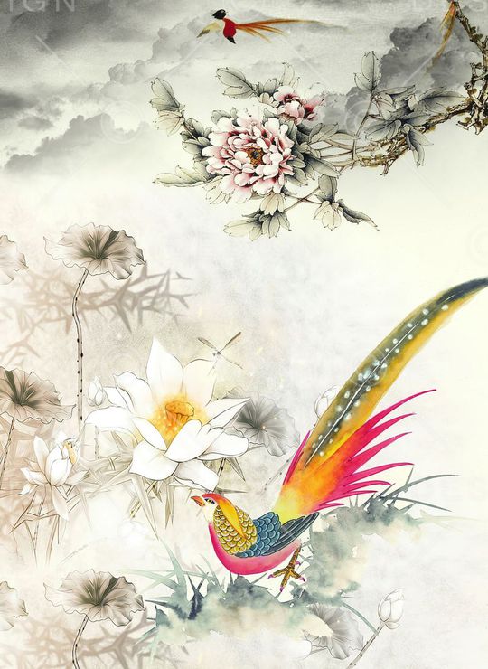 女装印花华亿平台图片