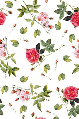 玫瑰印花华亿平台图片