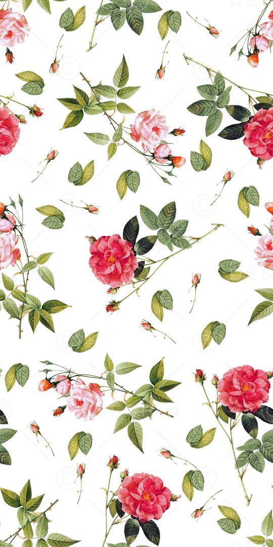 玫瑰印花华亿平台图片