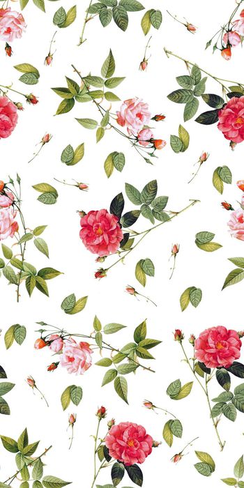 558181-花卉女装华亿平台家纺窗帘壁纸